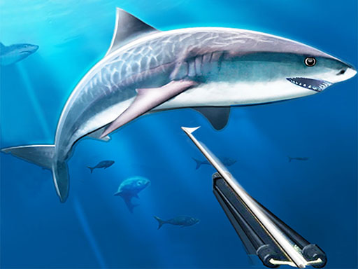 Hunting underwater spearfishing